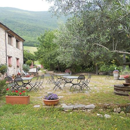 Il Giardino Degli Ulivi Βίλα Castelraimondo Εξωτερικό φωτογραφία