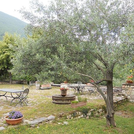 Il Giardino Degli Ulivi Βίλα Castelraimondo Εξωτερικό φωτογραφία