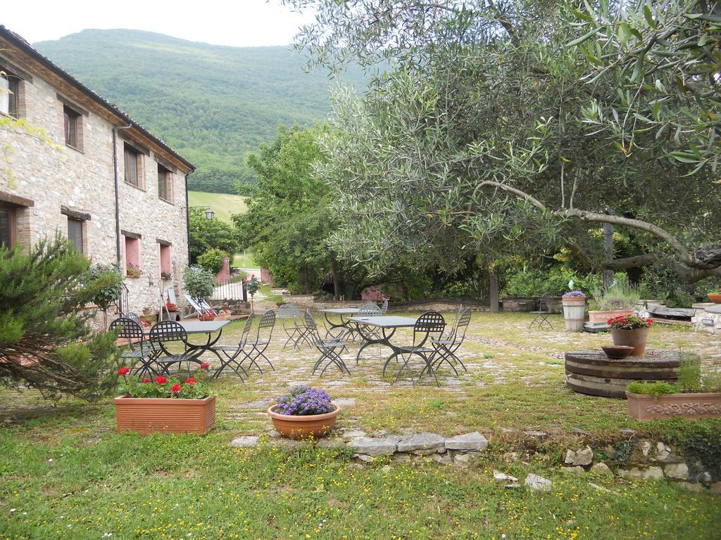 Il Giardino Degli Ulivi Βίλα Castelraimondo Εξωτερικό φωτογραφία