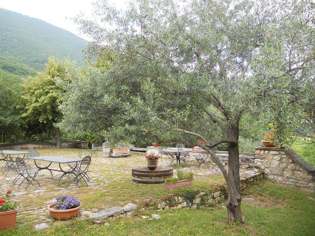 Il Giardino Degli Ulivi Βίλα Castelraimondo Εξωτερικό φωτογραφία